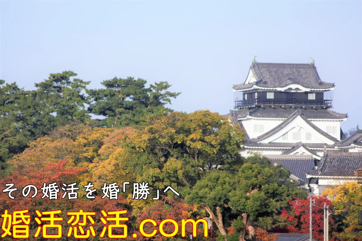 岡崎城と紅葉